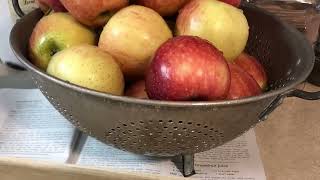 How to make apple juice 🍎 homemade and water bath canning [upl. by Anilyx]