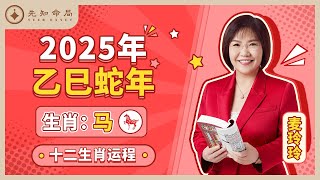 麦玲玲师傅详解2025蛇年运程：生肖马！事业运、财运、人际关系、爱情、婚姻、健康全解析！ [upl. by Currie439]