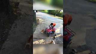 Man in Wheelchair with Four Aggressive Dogs [upl. by Orpheus]