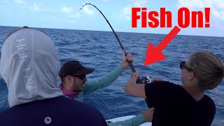 Live Bait fishing over Islamorada Wrecks Catch Clean Cook [upl. by Leaw]