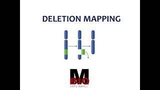 DELETION MAPPING [upl. by Harrell]