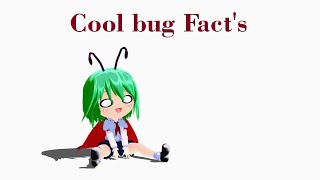 Cool Bug Facts [upl. by Annadiana]