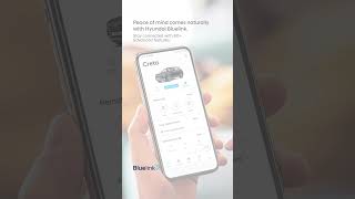Hyundai Bluelink  Exclusive Offers [upl. by Eb]