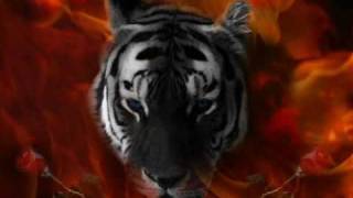 EYE OF TIGER REMIX [upl. by Ahsan]