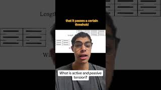 Active and passive tension explained [upl. by Ailime]