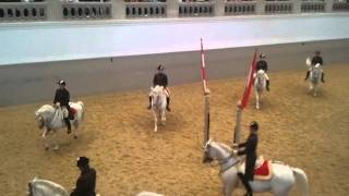 Spanish Riding School Vienna [upl. by Rigby]