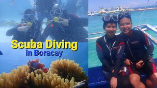 Scuba Diving in Boracay [upl. by Avika]