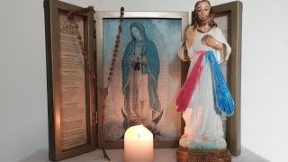 EN VIVO 🙏Hora de la Misericordia con Jesús y María🙏 [upl. by Dnama]