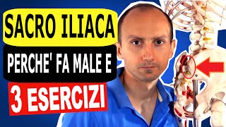 Mal di Schiena allArticolazione SacroIliaca Perché e 3 Esercizi Efficaci che ho testato [upl. by Kirshbaum894]