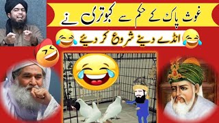 🔥🔥Ghos Pak Ki Kahani quot Maulana Ilyas Qadri quot Ki Zubani 😂😂  Kabootri Ne Andy Deny Shuru Kr Diye🥺 [upl. by Nonnahs]