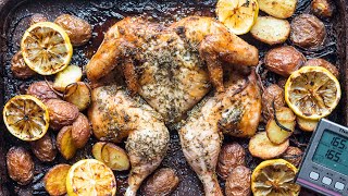 Incredible Roast Chicken and Potatoes Recipe  ThermoPro Recipes 2020 [upl. by Iadrahs836]