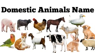 Domestic Animals Name  Pet Animals Domestic Animals Name English to Hindi [upl. by Llertram]