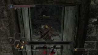 Dark Souls 2 First Playthrough 5  Finishing Up the Forest of Fallen Giants [upl. by Adnohsor343]