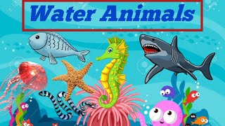 Water Animals And Their Names  Water Animals For Kids [upl. by Selima]