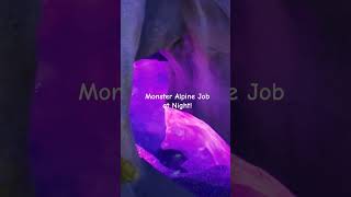 Monster Alpine Job at Night fauxrock davehendersonpodiacom [upl. by Bluh378]