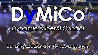 DyMiCo video tutorial  Zooplankton culture [upl. by Kind761]