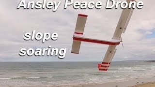 Ansley Peace Drone slope soaring [upl. by Brackely56]