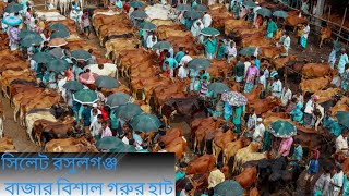 সিলেট বিশাল গরুর হাট ২০২৩  Sylhet Rosulganj Gorur Haat 2023  Daily Village Lifegram explorer [upl. by Eveleen]