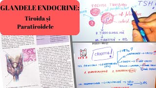 ADMITERE MEDICINA GLANDELE ENDOCRINE 5 Tiroida si paratiroidele [upl. by Lozar]