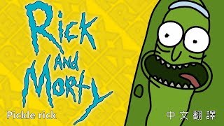 醃黃瓜Rick pickle rick  中文翻譯 [upl. by Hedvige574]