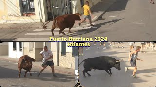 Tarde Hnos Infantes en Las Fiestas del Carmen  Puerto Burriana  21 Julio 2024 ✅🎥 [upl. by Nho483]