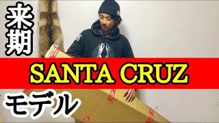 【santa cruz】内山ミエリスペクトのあれを僕もする [upl. by Cyb553]