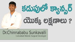 Hi9  కడుపులో క్యాన్సర్ యొక్క లక్షణాలు  Symptoms of Stomach Cancer  DrChinnababu Sunkavalli [upl. by Adiene]