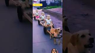 Cycle Cycle Mari Sonani Cycle shorts youtubeshorts funny cutebaby viral trending [upl. by Garnes]