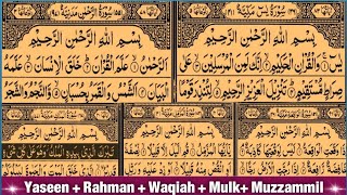 Panjsurah  Surah Yasin  Surah Rahman  Surah Al Waqiah  Surah Muzzammil  Surah Mulk In 1 Video [upl. by Atsev818]