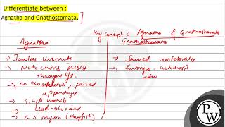 Differentiate between  Agnatha and Gnathostomata [upl. by Paco378]