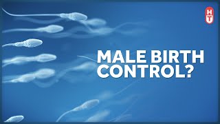 Why Isnt there a Birth Control Pill for Males [upl. by Sackman626]