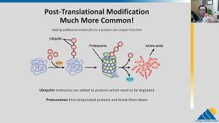 BIOL201 Ch166  Eukaryotic Translational and PostTranslational Gene Regulation [upl. by Elene]