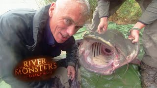 163lbs Wels Catfish  CATFISH  River Monsters [upl. by Yntruoc]