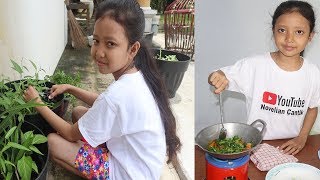 Memetik dan Memasak Kangkung Dengan Mainan Kompor Mini [upl. by Fletcher]