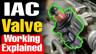 Idle Air Control Valve Trouble Codes amp Working Explained in Urdu Hindi  P0505  P0506  P0507 [upl. by Nonnahsed]