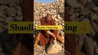 Shaolin Monk Performing Hardest Kung Fu Moves [upl. by Snej921]