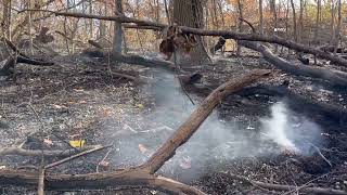 Inwood Park Closed After Brushfire reignites in NYC [upl. by Winser]