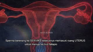 BIOLOGI T4 PROSES PERSENYAWAAN amp KEHAMILAN PART 1  ANIMASI PERSENYAWAAN ZIGOT  EMBRIO OOGENESIS [upl. by Manton66]