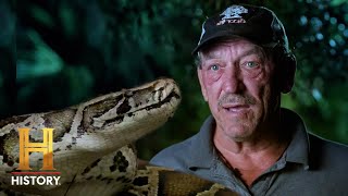 Troy vs Nesting Burmese Pythons  Swamp People Serpent Invasion S4 [upl. by Godfree]