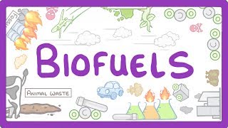 GCSE Physics  Biofuels 12 [upl. by Yellhsa336]