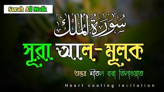 Surah Mulk  সূরা মূলক তিলাওয়াত  Quran Recitation  surah al mulk  Surah  Episode 852  G852CS [upl. by Aisac875]