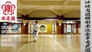 SEIPAI OKINAWA SHODOKAN GOJU RYU KARATE [upl. by Estel100]