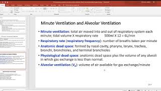 48 Compliance pulmonary volumes alveolar ventilation Dalton’s law and principles of gas exchange [upl. by Annawal266]