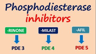 Phosphodiesterase inhibitors [upl. by Livia834]