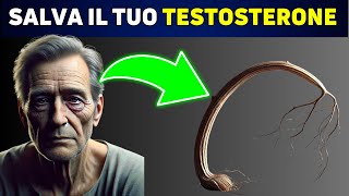 Non puoi aumentare il tuo testosterone se mangi questi 10 alimenti [upl. by Sorce]