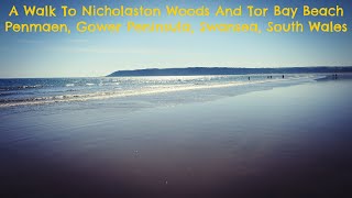 A Walk To Nicholaston Woods and Tor Bay Beach Penmaen Gower Peninsula Swansea [upl. by Nahtannoj47]