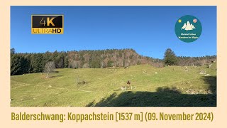 Balderschwang Koppachstein 1537 m 09 November 2024 [upl. by Karylin898]