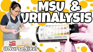 MSU amp URINALYSIS  NMC OSCE 🇬🇧 nurseniezl niezl2023 [upl. by Arley]