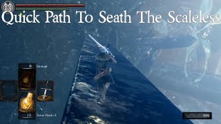 Quick Path To Seath The Scaleless  Dukes Archives amp Crystal Caves DARK SOULS REMASTERED [upl. by Asilim]