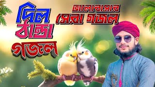 দিল ঠান্ডা করা গজল  Bangla Gojol  Md Imran Gojol  New Gojol 2024  Islamic Ghazal ইমরানের গজল [upl. by Domel848]